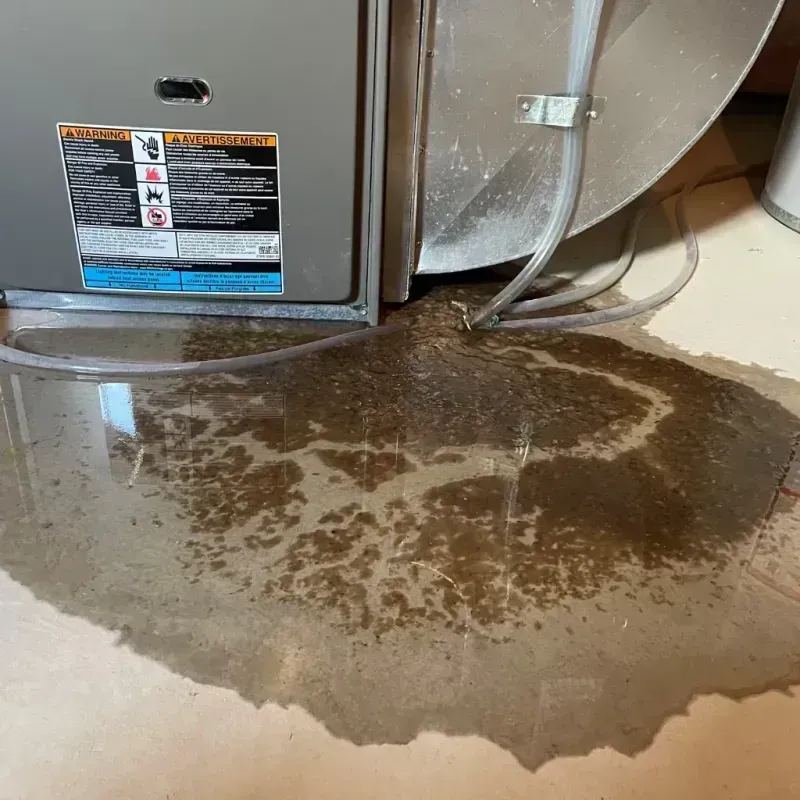 Appliance Leak Cleanup in Coke County, TX